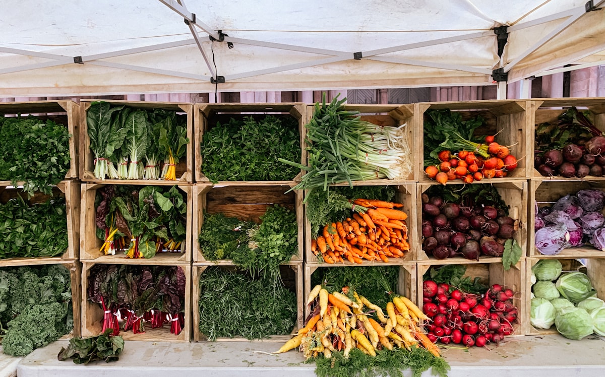 Produits laitiers et alternatives